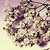 :iconhedgehogjade00: