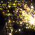 :iconhedgi-n-aisling: