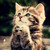 Heeyyuu :iconheeyyuu: