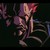 :iconheffe78:
