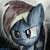 :iconheibel66:
