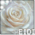 heido :iconheido: