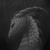 :iconhekatea: