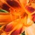 :iconhekaterine:
