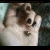 :iconhelebell: