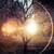 :iconhelen-f-autumn: