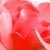 :iconhelena-sunshine:
