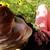 :iconhelenasixx19: