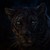 :iconhelenawolf: