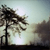 :iconhelene489:
