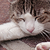 :iconheleonora: