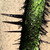 :iconheliarti: