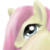 :iconheliki: