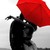 :iconheliocute5: