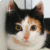 :iconhellbeadsinmyhand: