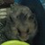 :iconhellboy123456: