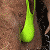:iconhellboysoto: