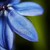 :iconhellgirl761: