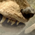 :iconhellhound-my-legend: