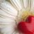 :iconhello-babydoll: