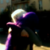 :iconhello-baka-team: