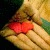 :iconhello-hollywood: