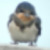 :iconhello-jealosy: