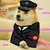 :iconhelloarisa: