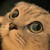 :iconhellokittygirl11: