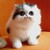 :iconhellosonikku10: