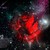 :iconhells-night-rose: