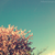 :iconhellsinki-vampire: