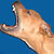 :iconhelmisimpukka: