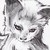 :iconhelmuud: