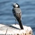 :iconhemavan: