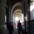 :iconhemed-caly: