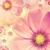 :iconhemingwaycafe: