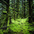 :iconhemlockandhawthorn: