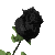 :iconhemoto-xin:
