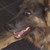 :iconhempo06: