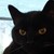 :iconhen-chan: