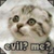 :iconhen-nobu:
