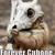 :iconhendrickski: