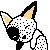 :iconheni1: