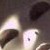 :iconhenjie: