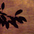:iconhenna-blooming: