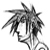 :iconhenriquev: