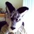 :iconhenryreidel: