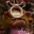 :iconhensonrp-annie-sue: