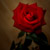:iconhenwaj: